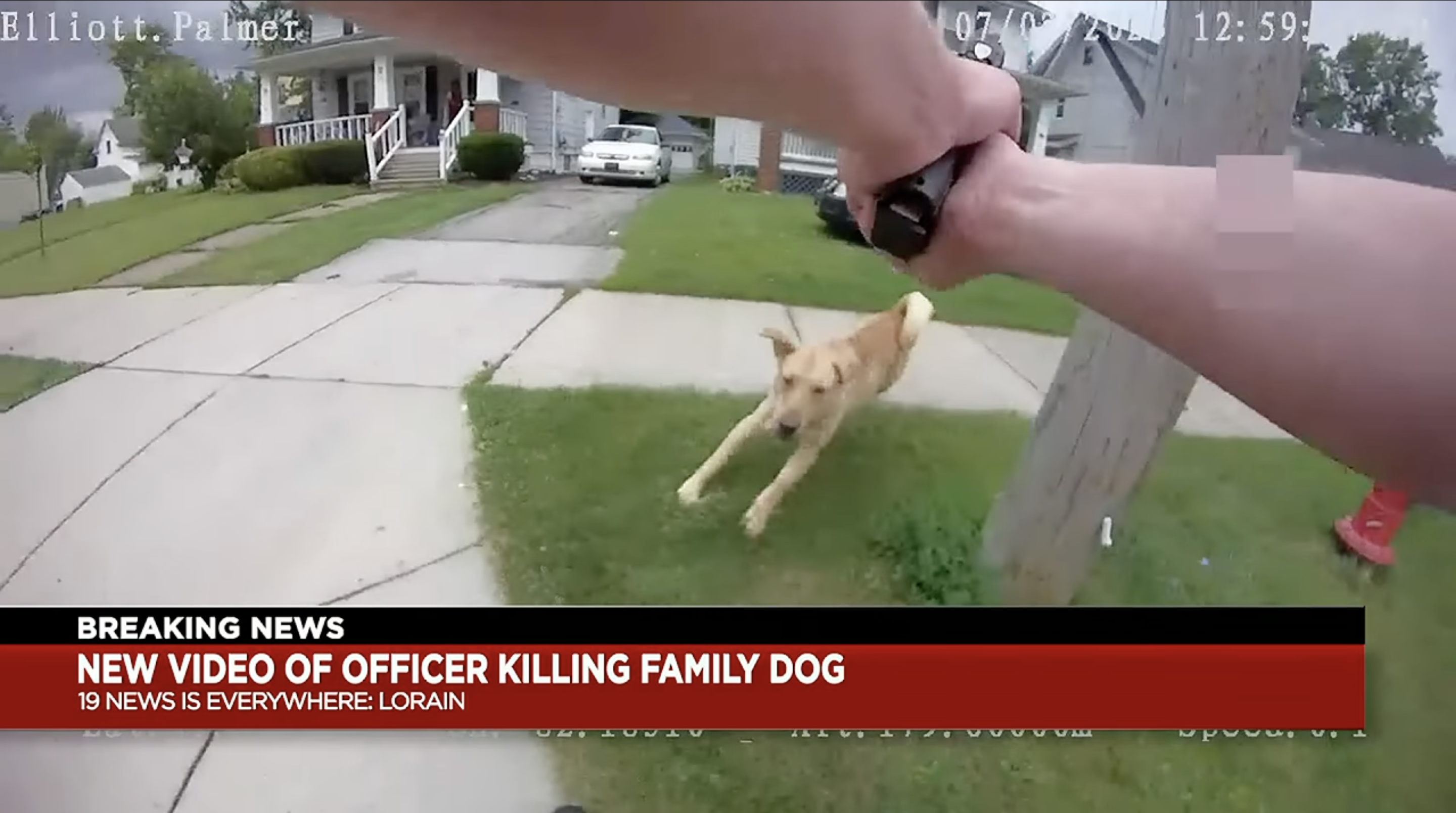 Dog Fatally Shot By Ohio Police, Family Demands Justice