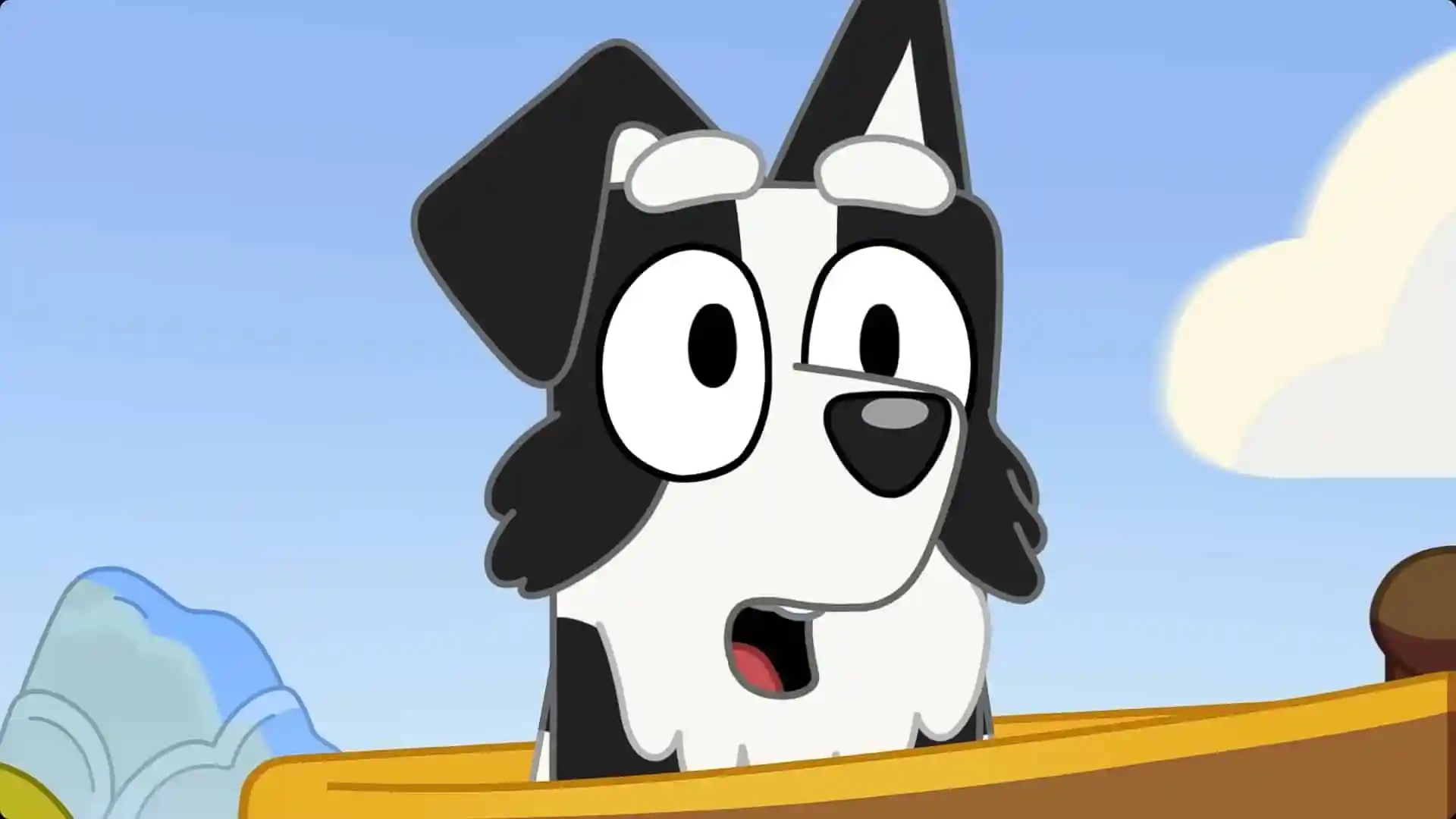 What Are the Dog Breeds of the Bluey Characters?