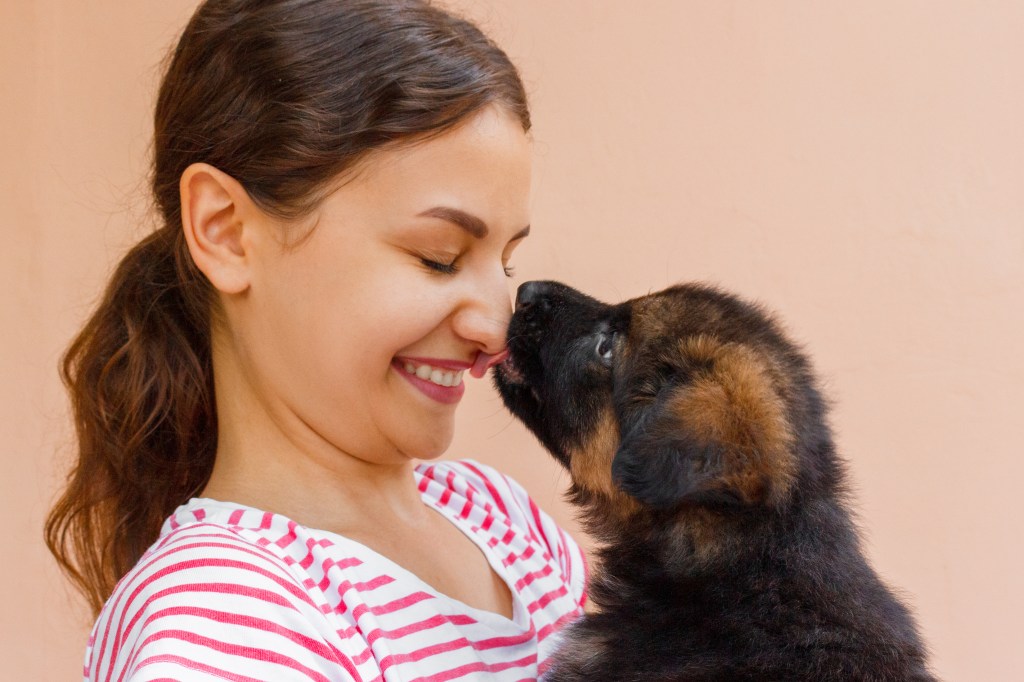 chiot léchant une fille sur le nez