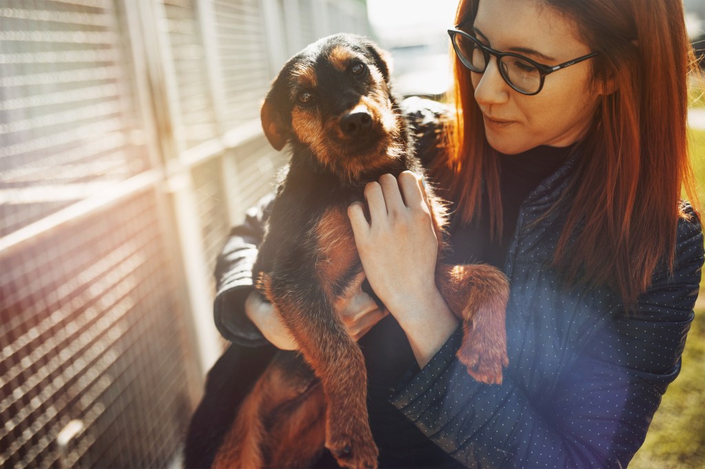 Young woman holding dog at shelter for adoption.