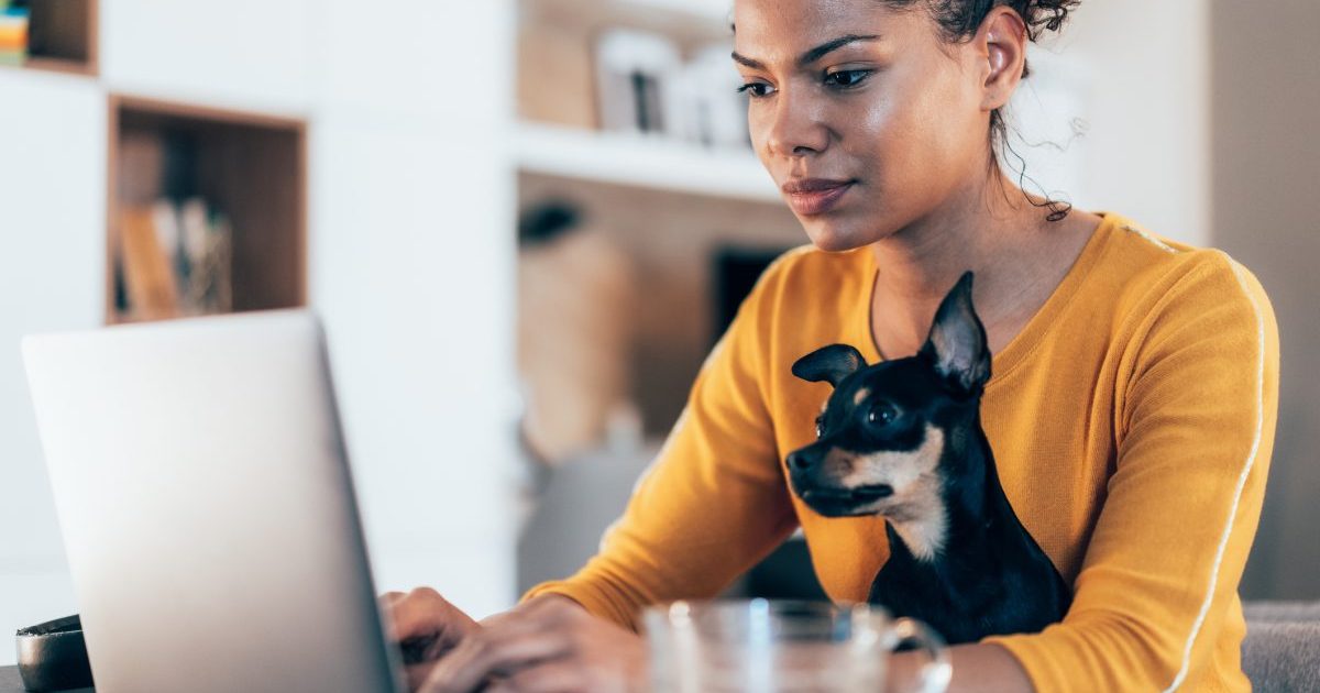 young woman working from home with dog on lap