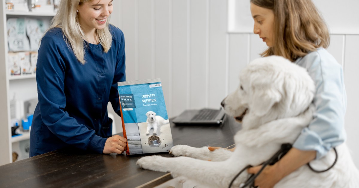 Does My Dog Need To See a Veterinary Nutritionist?