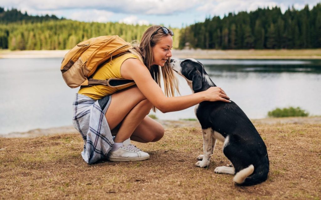 Mindful dog parent petting and talking to dog next to a lake
