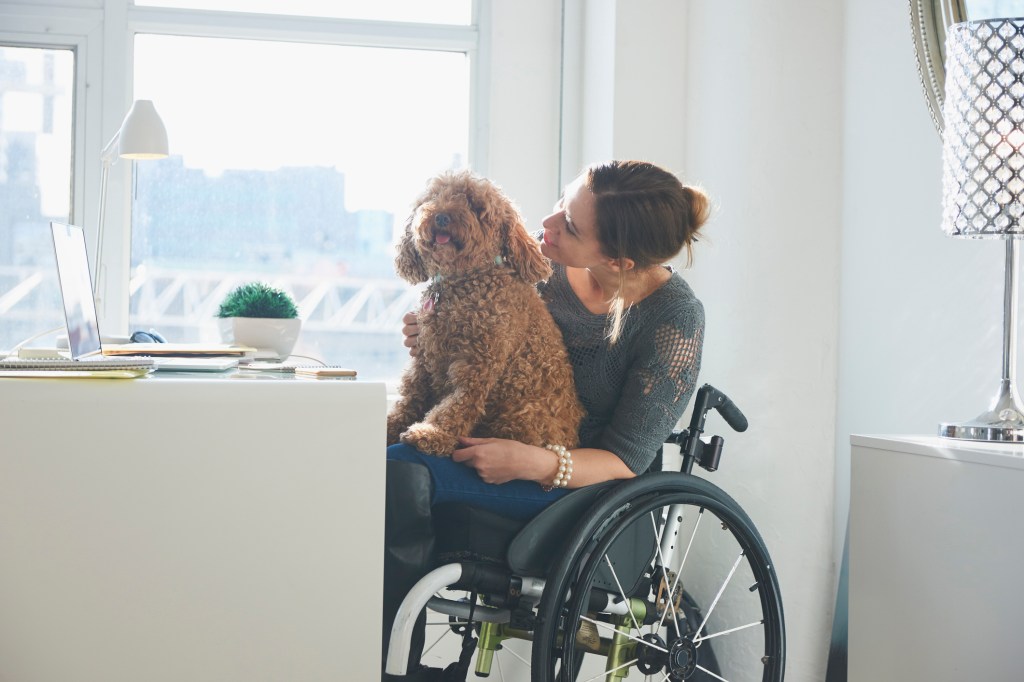 woman in wheelchair working from home with dog on lap