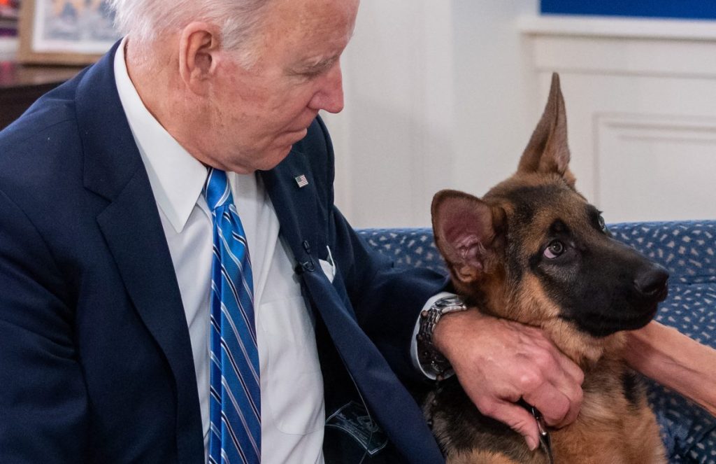 President Joe Biden sitting with German Shepherd dog Commander