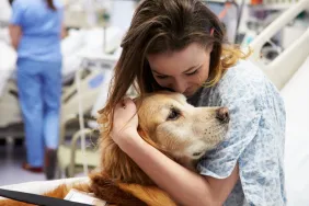 female hospital patient hugging golden retriever therapy dog