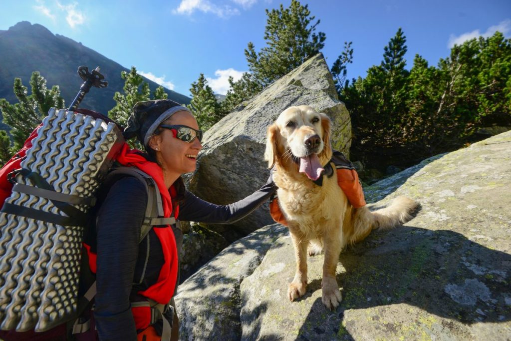 Paradise Falls – Hiking Girl with Dog