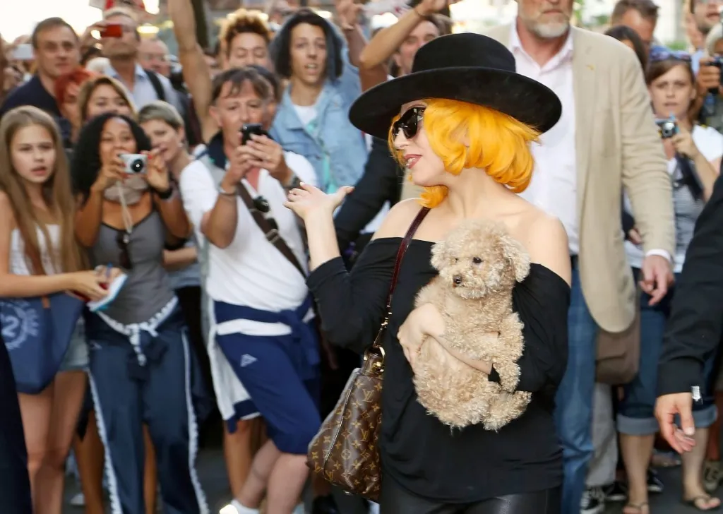 Lady Gaga with one of her dogs who was not stolen.
