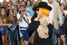 Lady Gaga with one of her dogs who was not stolen.