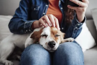 Woman petting dog on a couch to boost mental health.