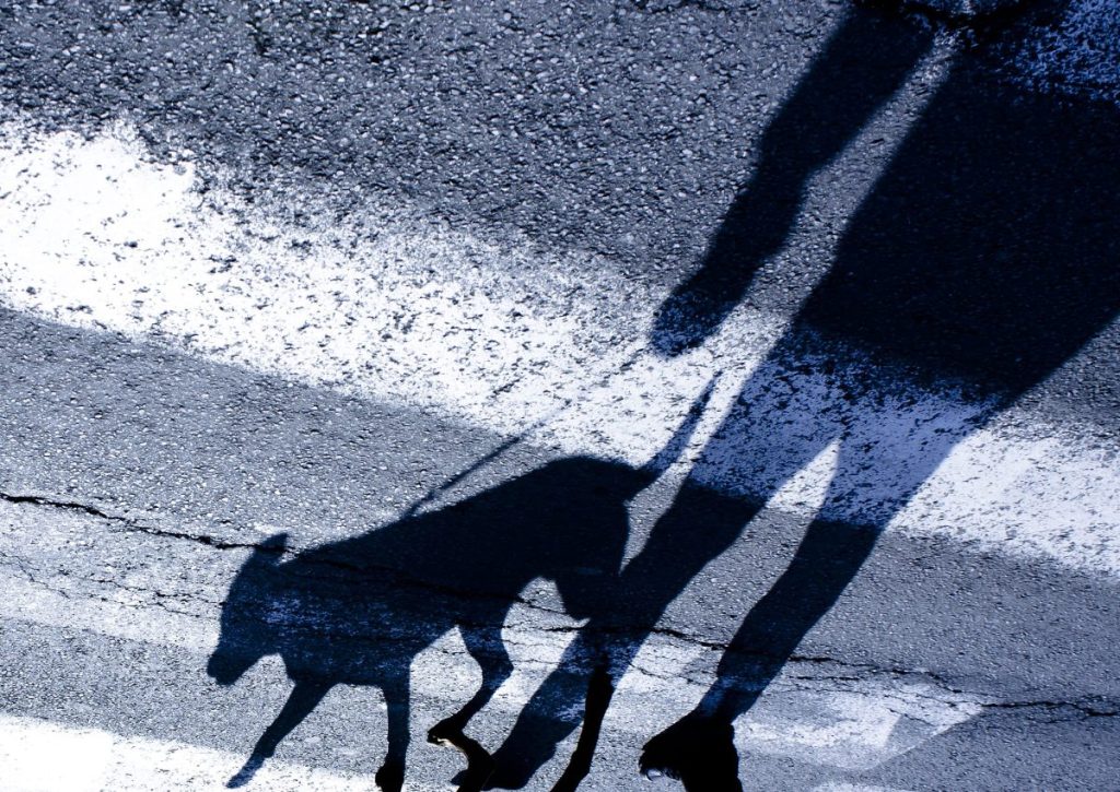 silhouette of man walking dog in street at night