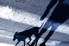 silhouette of man walking dog in street at night