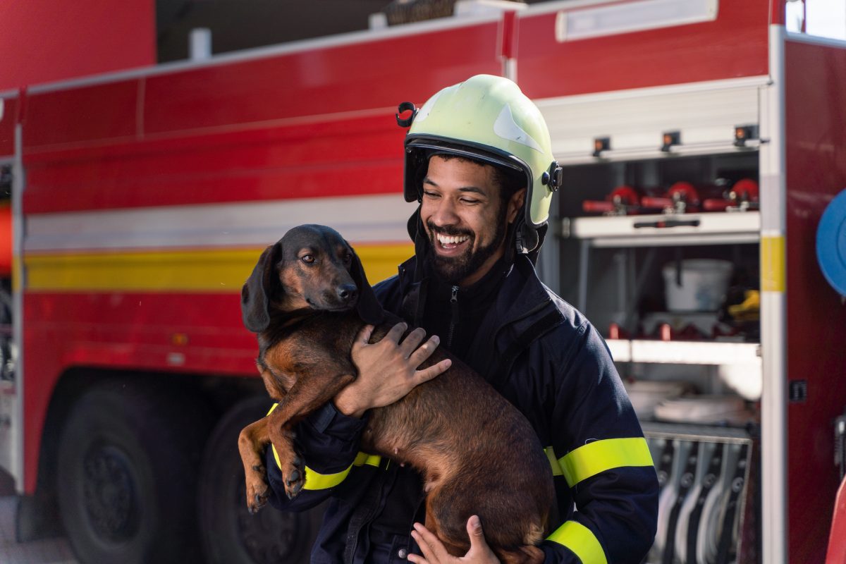 Firefighters Rescue Dog Trapped In Mineshaft