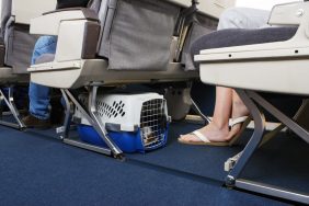 Passenger traveling with their pet dog, like that when Southwest Airlines chose to kick woman off flight. Pet carrier is stowed under the seat.