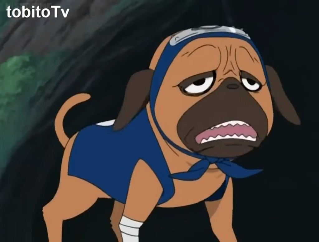 Pakkun is the one of the top dogs in the anime Naruto