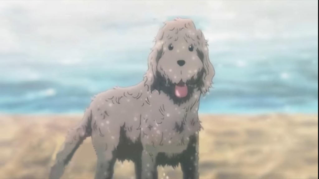 Makkachin is a great source of support, bringing meaning to the character's life like dogs do for us.