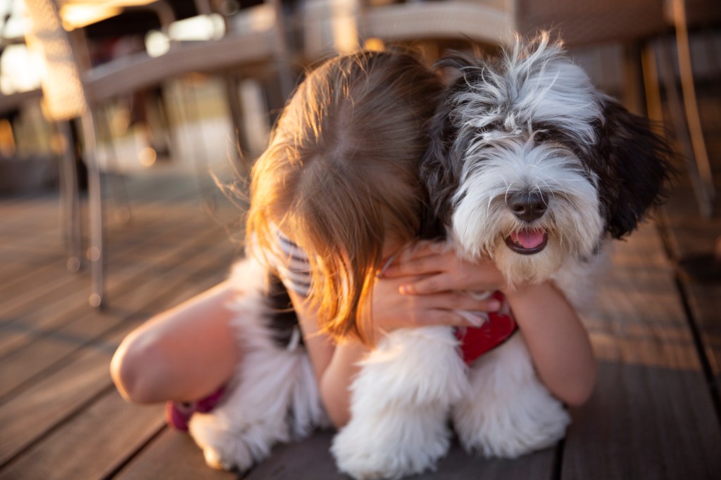Child hugging young Havanese puppy next to an outdoor dining area.