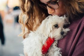 Young woman kissing a Maltese puppy on the head. Clingy “velcro dog.”