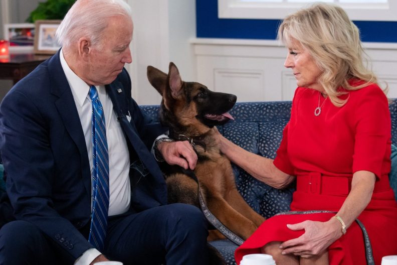 Joe Biden's dogs