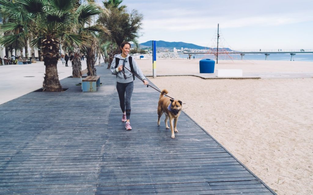 Lady walking dog on a leash along a boardwalk during the day, exactly what Mission Bay dog owners not supporting boardwalk dog walking ban want.