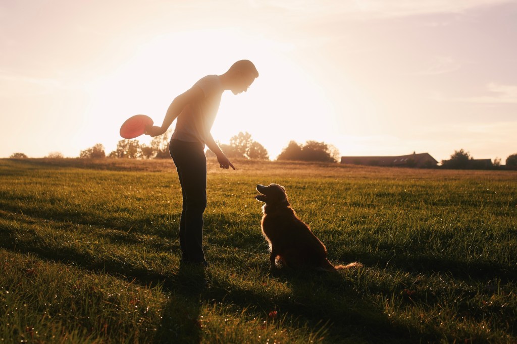 Dog trainer teaching his dog new tricks in an open field, like the dog used to teach kids about kindness by the celebrity dog trainer.