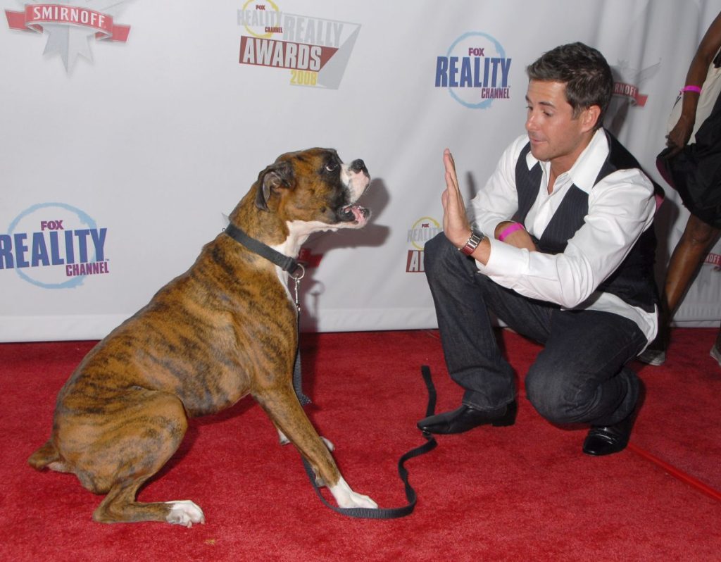 HOLLYWOOD - SEPTEMBER 24: Celebrity dog trainer Travis Brorsen and dog Presley arrives at the Fox Reality Channel's "Really Awards" held at Avalon Hollywood on September 24, 2008 in Hollywood, California. (Photo by Barry King/WireImage)