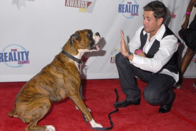 HOLLYWOOD - SEPTEMBER 24: Celebrity dog trainer Travis Brorsen and dog Presley arrives at the Fox Reality Channel's "Really Awards" held at Avalon Hollywood on September 24, 2008 in Hollywood, California. (Photo by Barry King/WireImage)