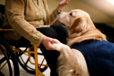 A therapy dog with a senior patient, similar to Quinn, the therapy dog who rang a bell at a hospital after beating cancer.