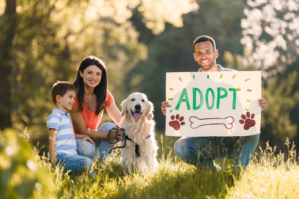 Happy family spending a spring day with their adopted golden retriever in nature, instead of one purchased from a place with puppies for sale. Parents are looking at camera while man is holding adopt sign.