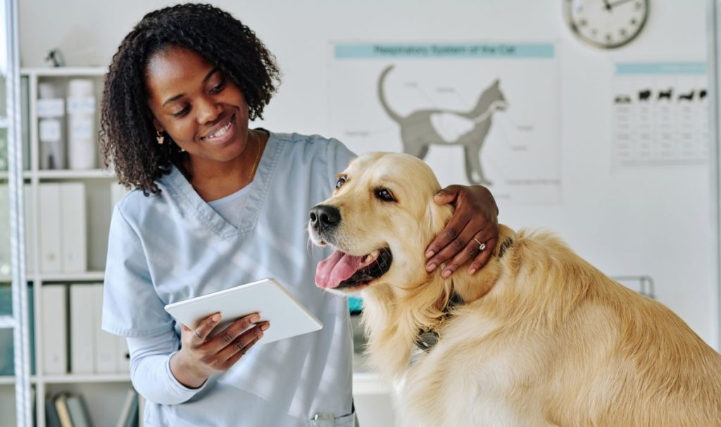 A vet hugging a Golden Retriever in an exam room while looking at a paper describing Gabapentin Dosage for dogs.