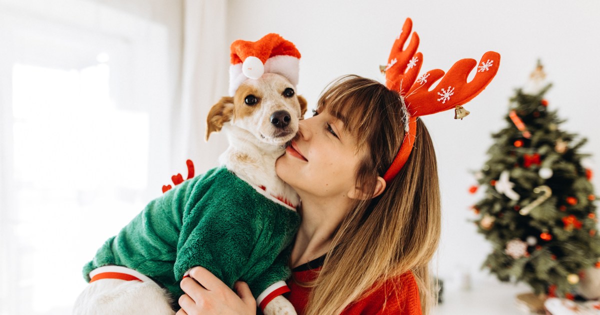 Holiday Traditions To Share With Your Dog