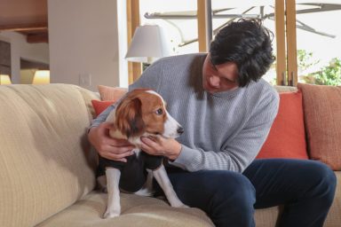 Shohei Ohtani with his dog.