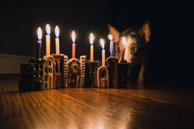 Dog sitting next to lit Hanukkah Menorah, a potential danger during celebrating the holiday.