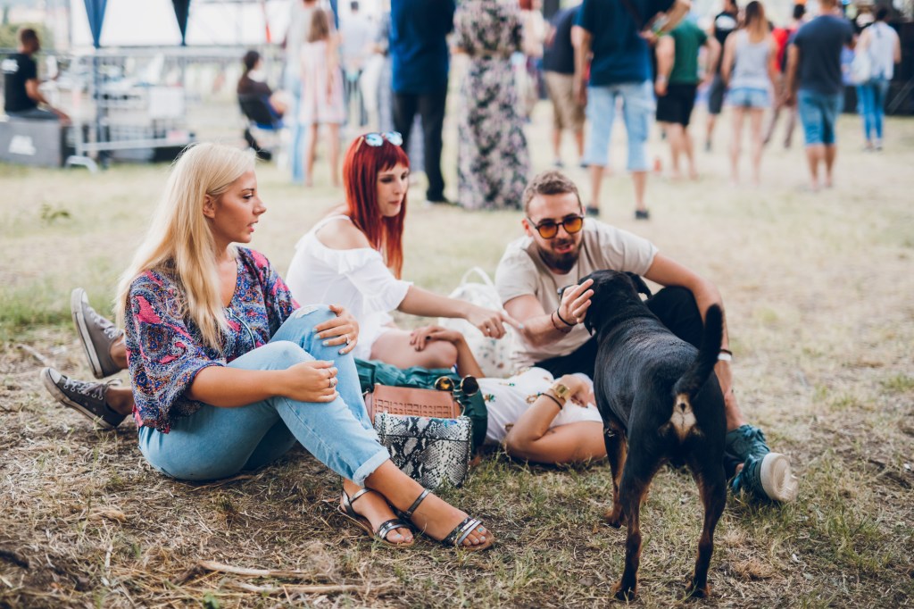 A black dog socializing with a group of three people, as socialization can help curb dog bite epidemic