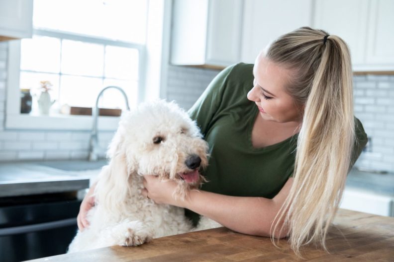 A Goldendoodle with his owner in the kitchen, similar to the Pennsylvania dog who ate $4,000 in cash that was kept on the kitchen counter.