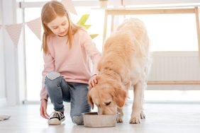 A little girl feeding a dog, similar to the Texas toddler who guides her family dogs in saying prayer before their meal.