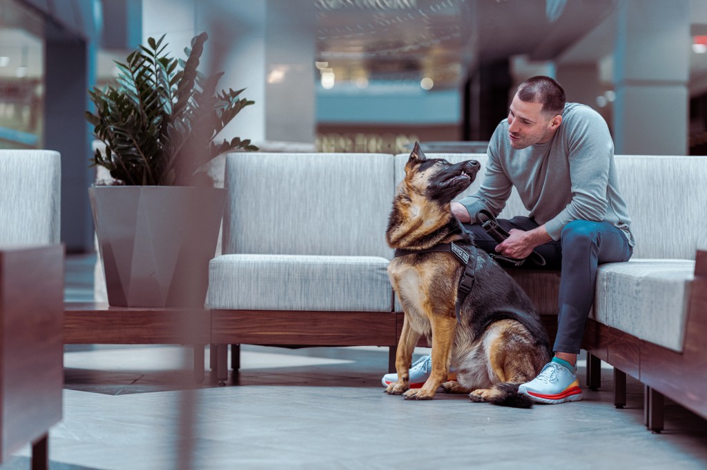 A man in casual clothing sits with his obedient German Shepherd service dog in the lobby of a hospital or corporate business building.