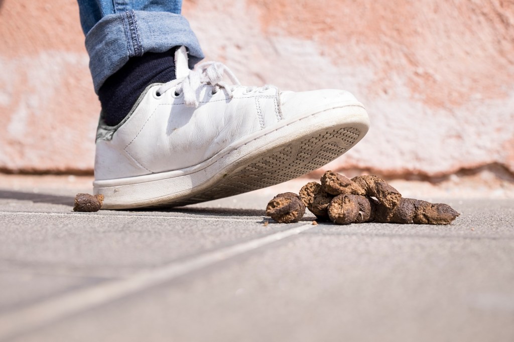 A pedestrian almost stepping on dog poo. The Upper East Side dog poop problem has worsened in recent years in New York City.