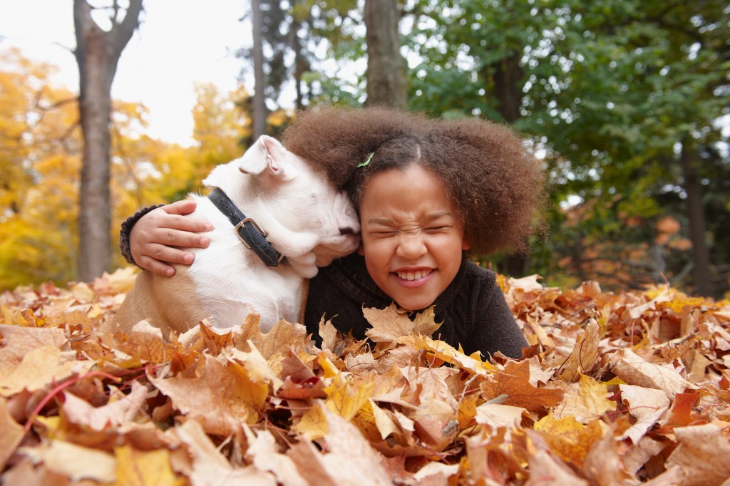 Mixed race girl and a kid-friendly dog laying in autumn leaves