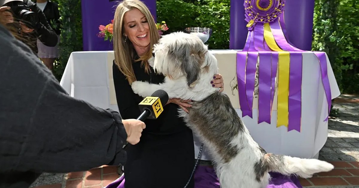 Westminster Dog Show 2024 Dates, Judges, How to Watch & Buy Tickets