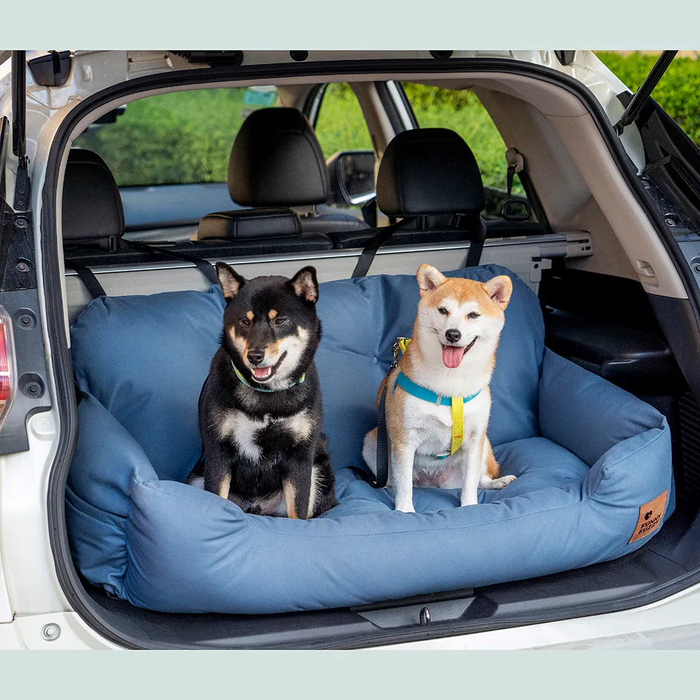 FunnyFuzzy blue dog safety product in trunk with two dogs.