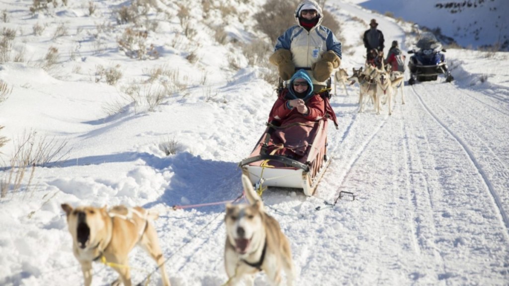 Camp Hale dog sled race