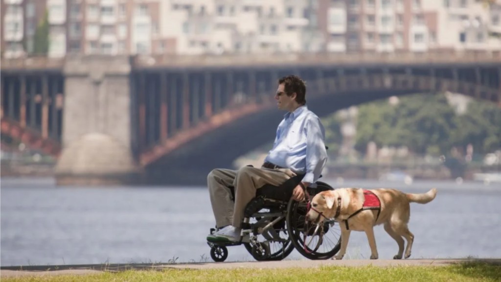 Disabled man in a wheelchair with his leashed dog, a Chicago man shot a dog who broke away from their leash