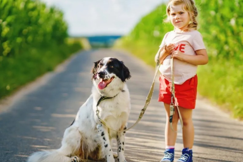 Young child going for a walk with family dog in nature.