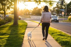 Woman walking her small dog on the sidewalk, a DC woman and her dog got nearly struck by a speeding stolen vehicle driving on the sidewalk