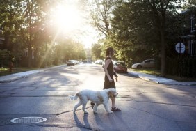 Woman crossing the street with her white dog, a Pennsylvania man attacked a dog with a hatchet