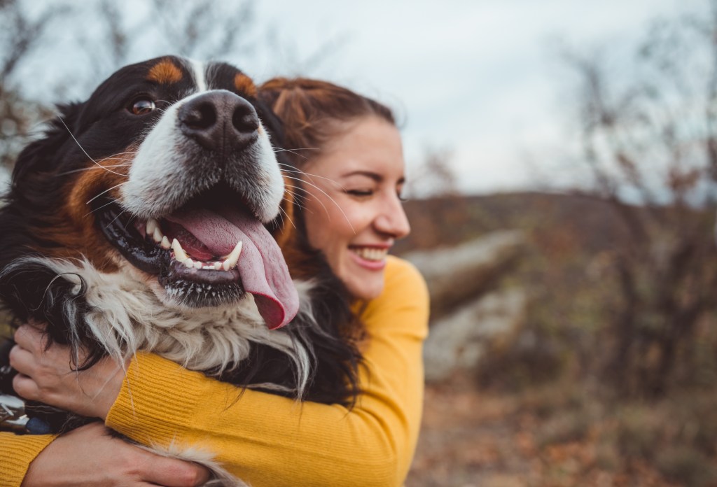 Young woman with a Bernese Mountain Dog, a breed with the shortest lifespan.