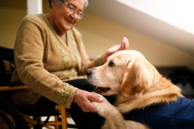 Therapy dog visits care home.