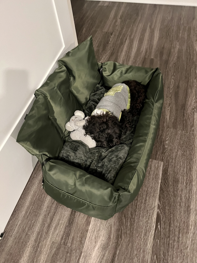 Washington, a mini Schnoodle dog, sleeping in his new olive green FunnyFuzzy Travel Bolster Safety Medium Large Dog Car Back Seat Bed. His head is on an elephant stuffed animal.