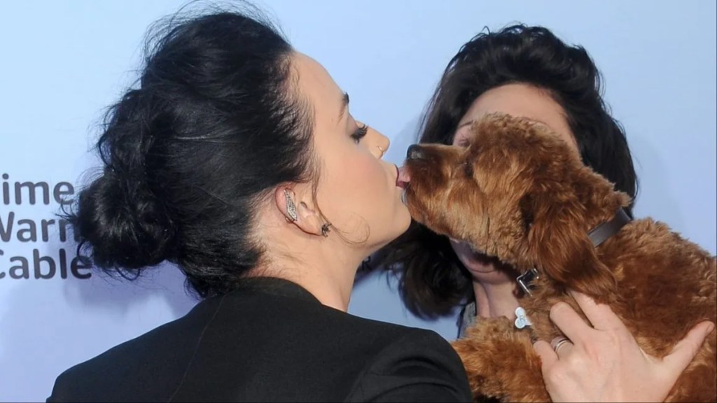 Katy Perry kissing a dog, she recently shared the new haircut look of her teacup poodle, Nugget